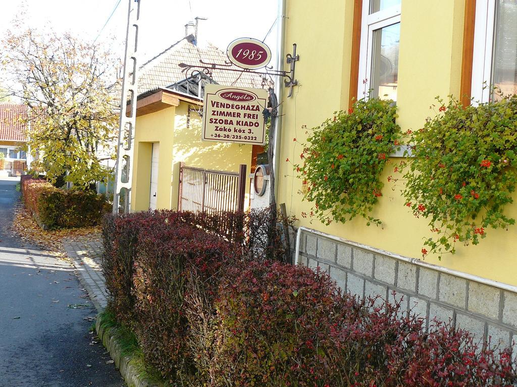 Angela Vendeghaz Hotel Tokaj Exterior photo